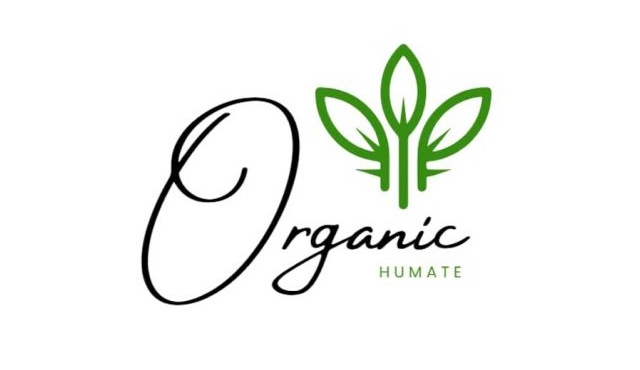 CREATOR: gd-jpeg v1.0 (using IJG JPEG v62), quality = 100