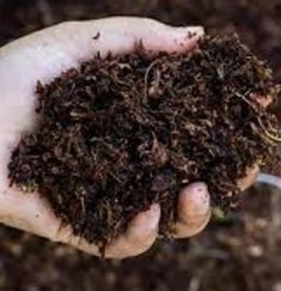 organic-soil-home